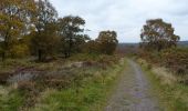 Percorso A piedi Stafford - Tolkien Trail Cannock Chase Walk - Photo 6