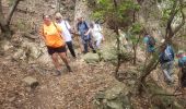 Tour Wandern Saint-Raphaël - Les 5 cols- Esterel - Photo 13