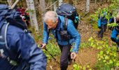 Tour Wandern Masevaux-Niederbruck - Rando CLAS du 25/04/2024 - Photo 4