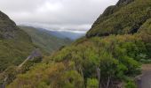 Tour Wandern Arco da Calheta - Levada do 25 fontes - Photo 11