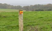 Tocht Stappen Beauraing - Pondrôme 23 km - Photo 11