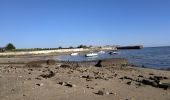 Randonnée Marche La Flotte - 2024-09-19 île de ré) abbaye et fort de la pré - Photo 1