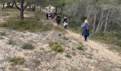 Trail Walking Salon de Provence - PF-Salon de Provence - Le Tallagard - Circuit MB - Photo 20
