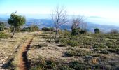 Tour Wandern Gras - La dent de Rez (Les Hellys) - Photo 6