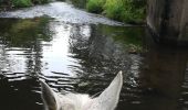 Trail Horseback riding Saint-Martin - St Martin domevre bois banal Pont rouge blockhaus  - Photo 19