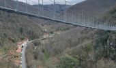 Randonnée Marche Mazamet - Maeamet la passerelle - Photo 18