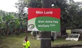 Trail Walking Le Lorrain - 22 mai 22 Morne 22 km Lorrain  - Photo 7