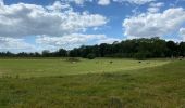 Tocht Stappen Edingen - Enghien Steenkerke 25 km - Photo 2