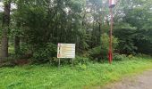 Tocht Stappen Monschau - rando kalterherberg-rocher bieley 11/08/2021 - Photo 13