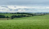 Trail Walking Neufchâteau - Bois d’Ospau - Photo 4