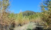 Trail On foot Tesero - Sentiero forestale Cucal - Photo 6