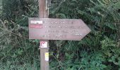 Trail Walking Loqueffret - loqueffret - Photo 4
