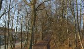 Trail On foot Gersfeld - Rhön-Rundweg 3 Gersfeld - Photo 7