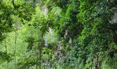 Randonnée Marche São Jorge - Levada del Rei - Photo 3