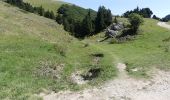 Trail Walking Châtillon-en-Diois - La Montagnette par le Pas de la Plane (Combau) - Photo 19