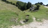 Randonnée Marche Châtillon-en-Diois - La Montagnette par le Pas de la Plane (Combau) - Photo 19