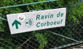 Tour Wandern Rosières - Ravin de corbeuf  - Photo 9