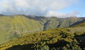 Tocht Te voet Calheta - Levada do Alecrim - Photo 7