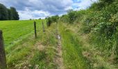 Tocht Stappen Bièvre - Naome 070724 - Photo 4