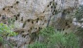 Excursión Senderismo Moustiers-Sainte-Marie - grotte de st Maurin - Photo 7