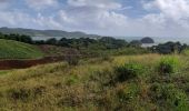 Percorso Marcia Le Robert - Pointe Savane - Plage du Raisiinier - Photo 5