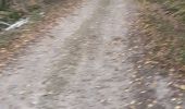 Trail Walking Cormatin - Cormatin - Photo 4