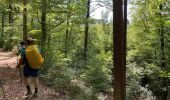 Trail Walking Gedinne - Rienne boucle presque complète 23,5 Km  - Photo 9