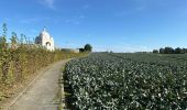 Randonnée Marche Zonnebeke - Zonnebeek 18,2 km - Photo 15