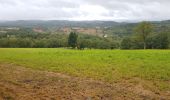 Trail Running Royère-de-Vassivière - jour 17 CAP Jeanot - Photo 10