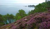 Randonnée Marche Crozon - Pointe de Morgat - Cap de la Chèvre Boucle GR34 - 19.7km 500m 6h00 - 2019 09 13 - Photo 2