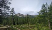 Tour Wandern Saint-Martin-Vésubie - Lac Negre depuis Boreon - Photo 8