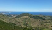 Trail Mountain bike Collioure - Circuit Collioure-Tour de la Madaloc - Photo 2