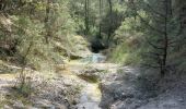 Tocht Mountainbike Mormoiron - Rochers de la Madeleine - Photo 1