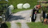 Trail On foot Mels - Vermol - Rütiwald - Photo 1