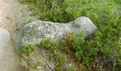 Trail Walking Montbrun-des-Corbières - MONTBRUN DES CORBIERES rocher du renard - Photo 4
