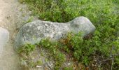 Randonnée Marche Montbrun-des-Corbières - MONTBRUN DES CORBIERES rocher du renard - Photo 4