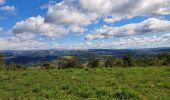 Tour Wandern Vimenet - les crêtes de Vimenet - Photo 16