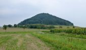 Excursión A pie Gudensberg - Metze, Rundweg 1 - Photo 6