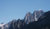 Trail Walking Chamonix-Mont-Blanc - La Gare des Glaciers - Plan de l'Aiguille - Photo 4