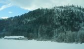 Tour Zu Fuß St. Wolfgang im Salzkammergut - Bürglsteig - Photo 10