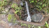 Randonnée Marche Baños de Agua Santa - Baños - Casa del Arbol - Photo 2