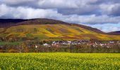 Excursión A pie Vaihingen an der Enz - Blauer Punkt, Horrheim - Fleckenwald - Photo 5