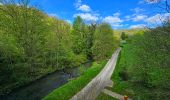 Trail Walking Thuin - Balade dans le Bois du Grand Bon Dieu-Thuin - Photo 8