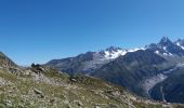 Excursión Senderismo Chamonix-Mont-Blanc - MASSIF DU MONT BLANC: INDEX-LAC BLANC-FLEGERE - Photo 14