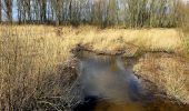 Tocht Te voet Onbekend - Urdenbacher Kämpe - Durch die Obstwiesen zur Feuchtwiese - Photo 9