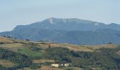 Percorso A piedi Travo - Trail delle Pietre - Photo 10