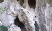 Randonnée Marche La Roquebrussanne - Source des Orris rochers menhirs (83) - Photo 16