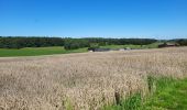 Trail Walking Namur - Vedrin 100823 - Photo 8