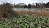 Tocht Stappen Tervuren - 2020-03-15 - Tervuren - Étangs de Vossem - Photo 7