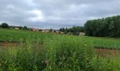 Trail Walking Saulny - saulny  - Photo 2